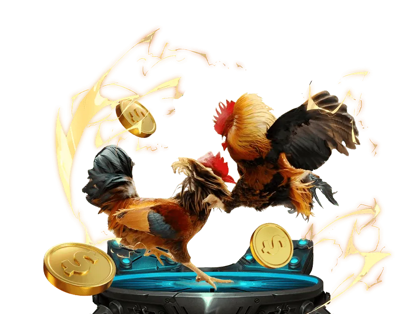 Chiến thuật cá cược đá gà